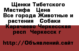 Щенки Тибетского Мастифа › Цена ­ 90 000 - Все города Животные и растения » Собаки   . Карачаево-Черкесская респ.,Черкесск г.